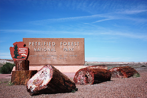 https://www.navajoblue.com/wp-content/uploads/2022/04/attractions-petrified-forest.jpg